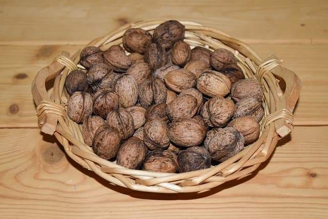 Vlašské ořechy