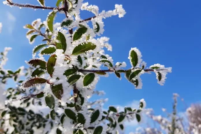 Do Česka se o víkendu mráz i sněžení